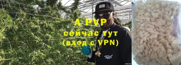 ECSTASY Надым