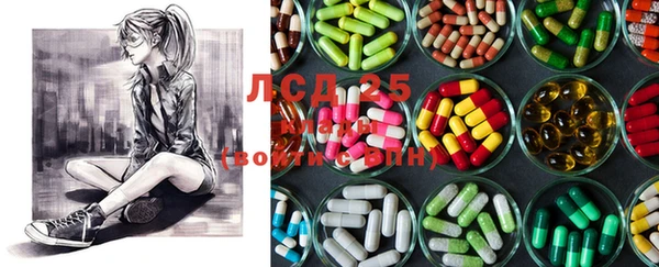 ECSTASY Надым