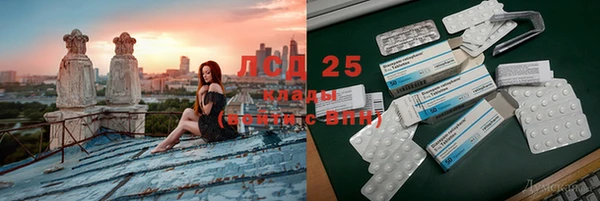 ПСИЛОЦИБИНОВЫЕ ГРИБЫ Наволоки