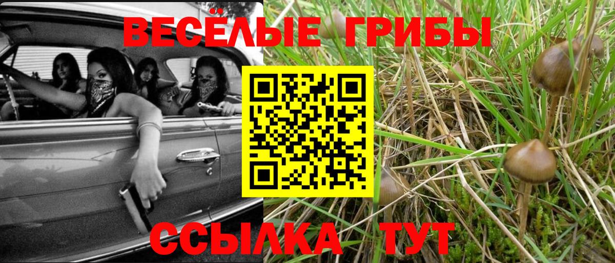 Галлюциногенные грибы Magic Shrooms Хабаровск