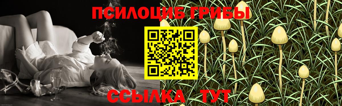 Псилоцибиновые грибы прущие грибы  Галлюциногенные грибы ЛСД  Хабаровск 