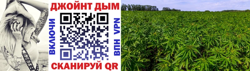Шишки марихуана ГИДРОПОН Хабаровск